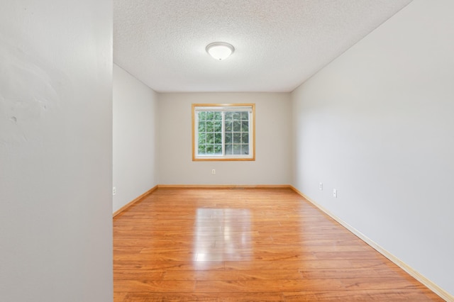 18267 Coneflower Ln, Eden Prairie, MN 55346 - spare room featuring light wood finished floors and a textured ceiling