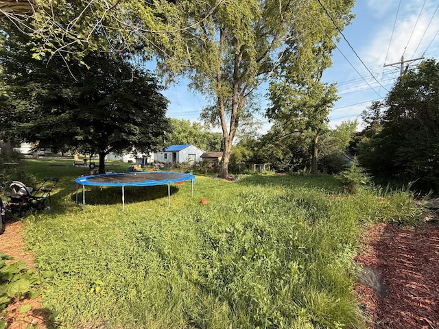 835 9th Ave, Granite Falls, MN 56241 - view of grassy yard with a trampoline