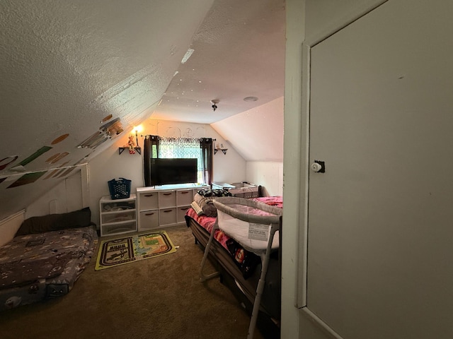 835 9th Ave, Granite Falls, MN 56241 - carpeted bedroom featuring lofted ceiling and a textured ceiling