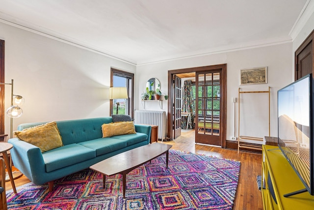 1718 Clinton Ave Unit 6, Minneapolis, MN 55404 - living area featuring radiator heating unit, ornamental molding, and wood-type flooring