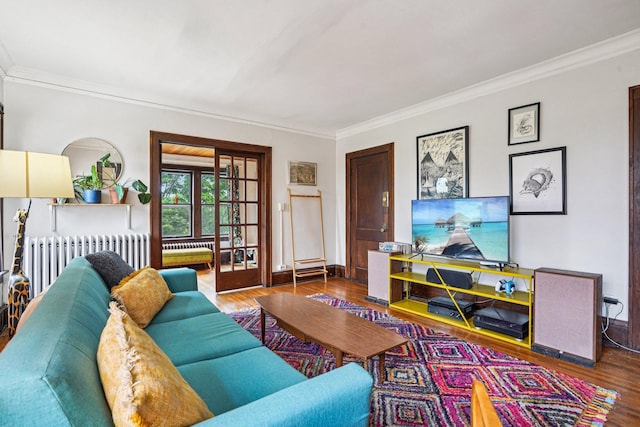 1718 Clinton Ave Unit 6, Minneapolis, MN 55404 - living area featuring ornamental molding, wood finished floors, and radiator heating unit