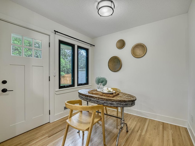 4909 Trillium Ln, Edina, MN 55435 - entrance foyer with healthy amount of natural light, light wood finished floors, and a textured ceiling