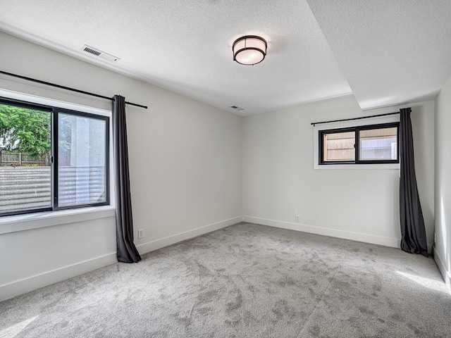 4909 Trillium Ln, Edina, MN 55435 - empty room with a textured ceiling, carpet, and plenty of natural light