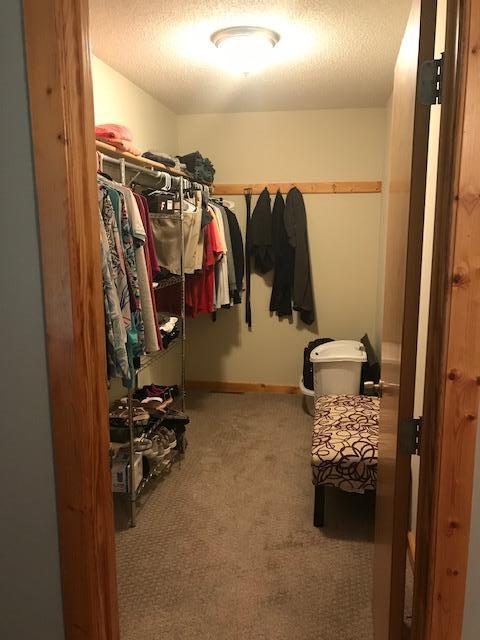 8916 Kabekona Springs Dr NW, Walker, MN 56484 - spacious closet featuring carpet floors