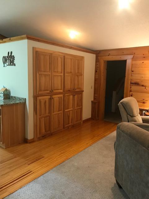 8916 Kabekona Springs Dr NW, Walker, MN 56484 - living room featuring light wood finished floors and wooden walls