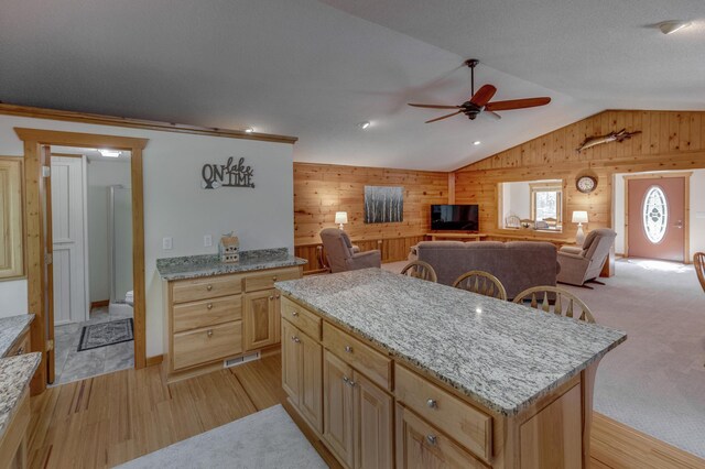 8916 Kabekona Springs Dr NW, Walker, MN 56484 - photo 11