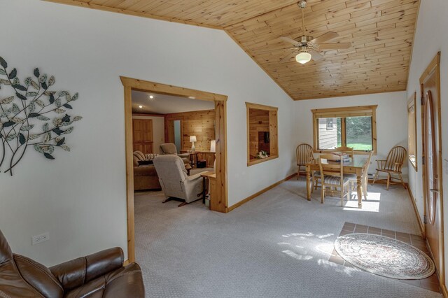 8916 Kabekona Springs Dr NW, Walker, MN 56484 - photo 12