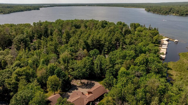 8916 Kabekona Springs Dr NW, Walker, MN 56484 - photo 41