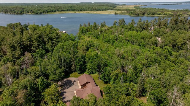 8916 Kabekona Springs Dr NW, Walker, MN 56484 - photo 45