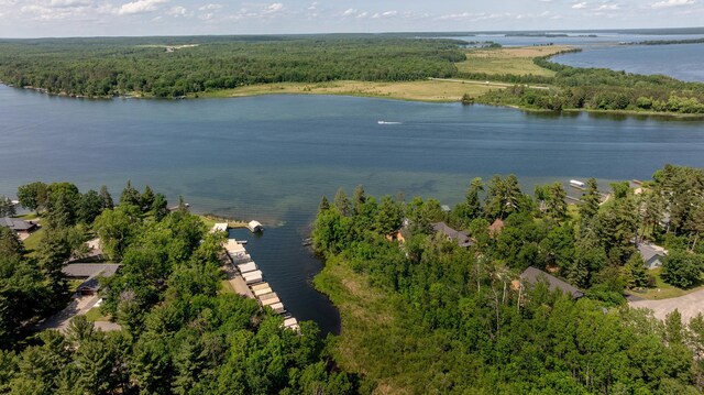 8916 Kabekona Springs Dr NW, Walker, MN 56484 - photo 46