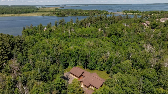 8916 Kabekona Springs Dr NW, Walker, MN 56484 - photo 47