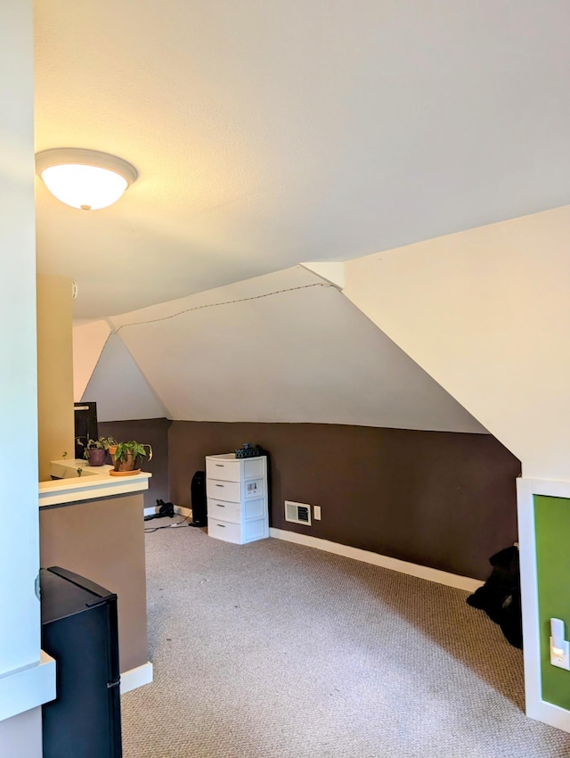 2606 Sessions St NW, Alexandria, MN 56308 - bonus room with carpet floors and lofted ceiling