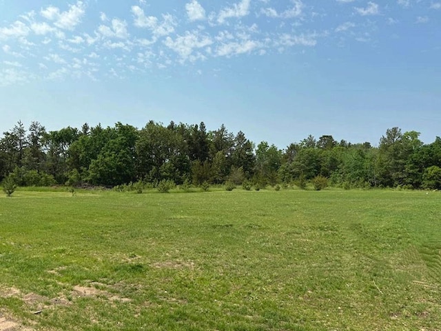 16696 Eclipse Dr, Park Rapids, MN 56470 - view of undeveloped land