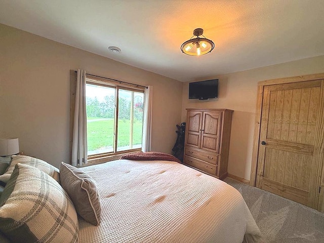 16696 Eclipse Dr, Park Rapids, MN 56470 - carpeted bedroom featuring baseboards