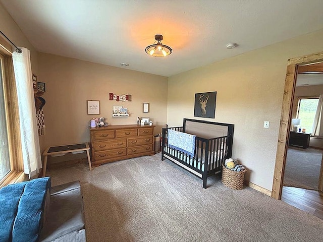 16696 Eclipse Dr, Park Rapids, MN 56470 - bedroom with carpet and baseboards