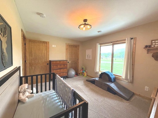 16696 Eclipse Dr, Park Rapids, MN 56470 - carpeted bedroom featuring baseboards