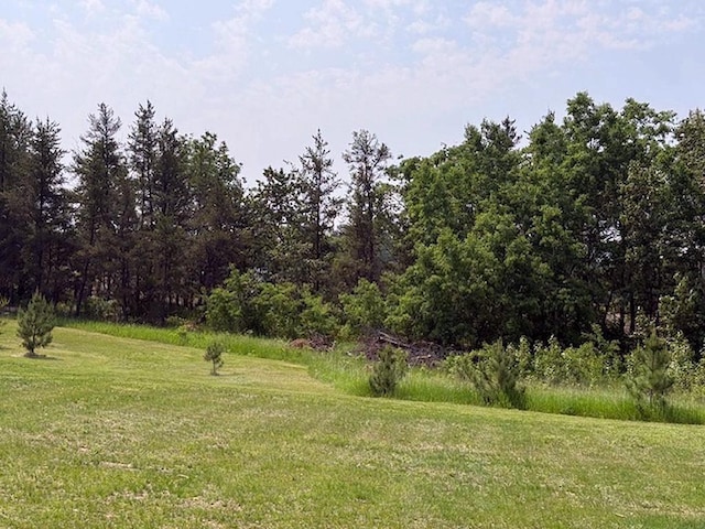 16696 Eclipse Dr, Park Rapids, MN 56470 - view of grassy yard