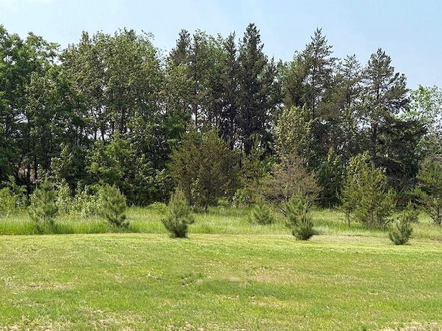 16696 Eclipse Dr, Park Rapids, MN 56470 - view of green lawn