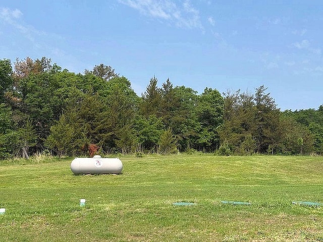 16696 Eclipse Dr, Park Rapids, MN 56470 - view of grassy yard featuring a view of trees