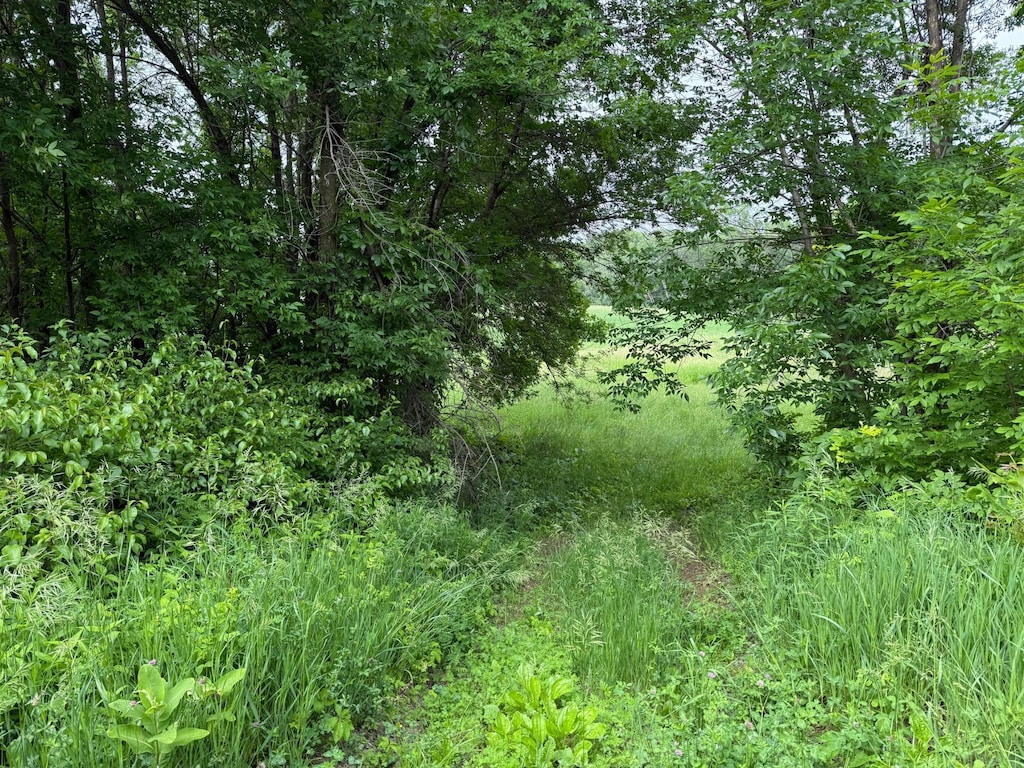 17001 Elmore Ave, Faribault, MN 55021 - photo 2