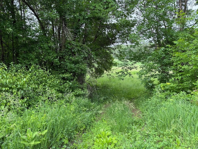 17001 Elmore Ave, Faribault, MN 55021 - photo 2