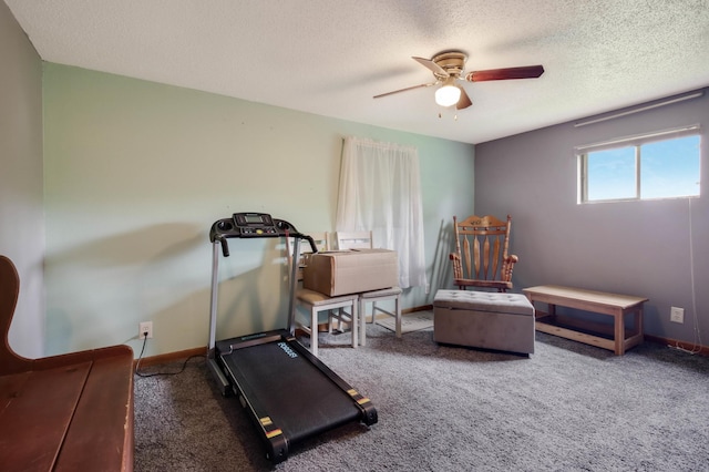 1388 13 1/2 Ave, Barron, WI 54812 - workout area featuring a ceiling fan, a textured ceiling, and carpet floors