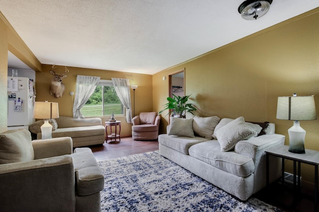 1388 13 1/2 Ave, Barron, WI 54812 - living room with wood finished floors