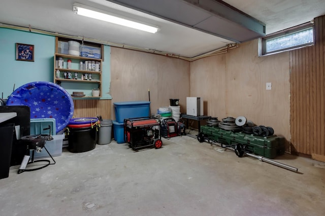 1388 13 1/2 Ave, Barron, WI 54812 - below grade area with wood walls