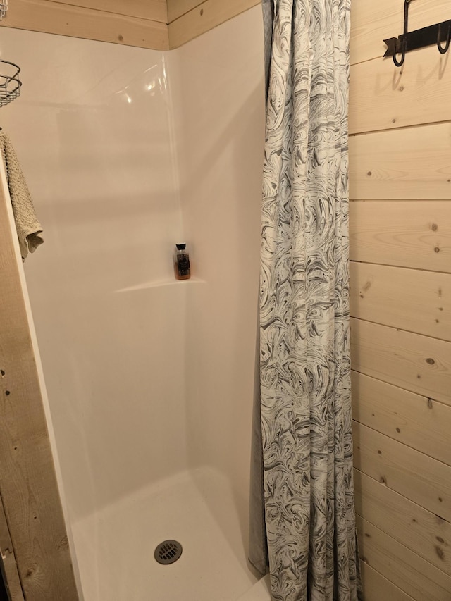 20389 640th Ln, Jacobson, MN 55752 - full bath featuring a stall shower