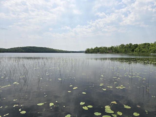 20389 640th Ln, Jacobson, MN 55752 - water view