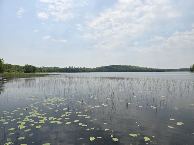 20389 640th Ln, Jacobson, MN 55752 - water view