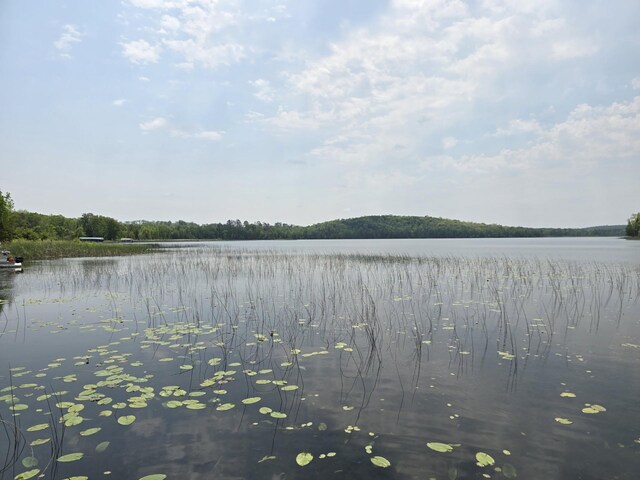 20389 640th Ln, Jacobson, MN 55752 - photo 30