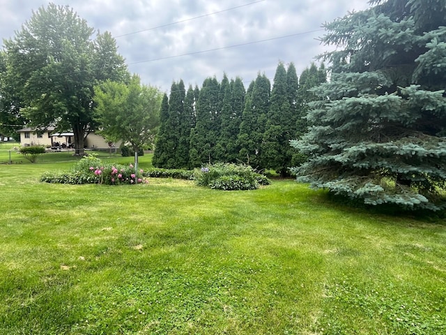 200 Amsterdam Ave E, Hollandale, MN 56045 - view of grassy yard