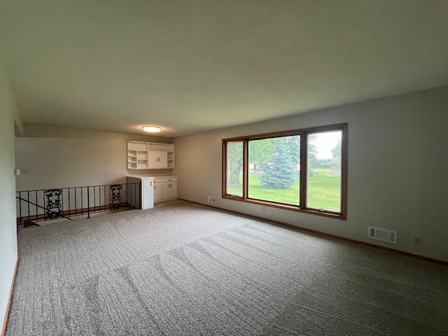 200 Amsterdam Ave E, Hollandale, MN 56045 - unfurnished living room with light colored carpet and baseboards