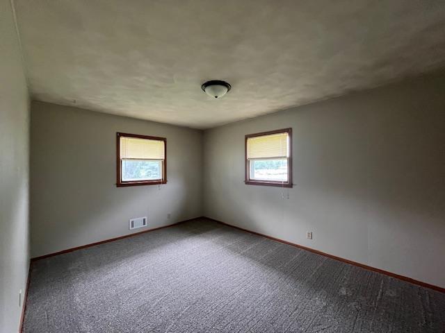 200 Amsterdam Ave E, Hollandale, MN 56045 - spare room featuring healthy amount of natural light and carpet
