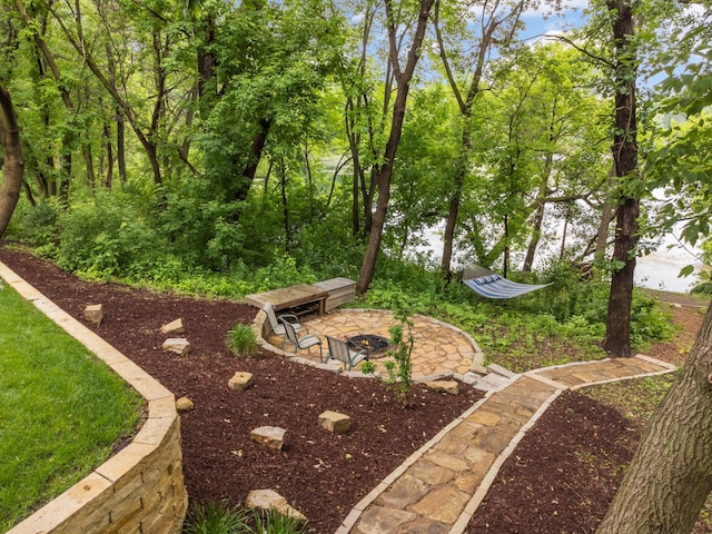10787 Alison Way, Inver Grove Heights, MN 55077 - view of yard