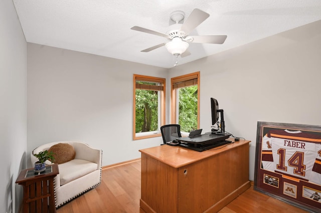10787 Alison Way, Inver Grove Heights, MN 55077 - office space featuring wood finished floors and a ceiling fan