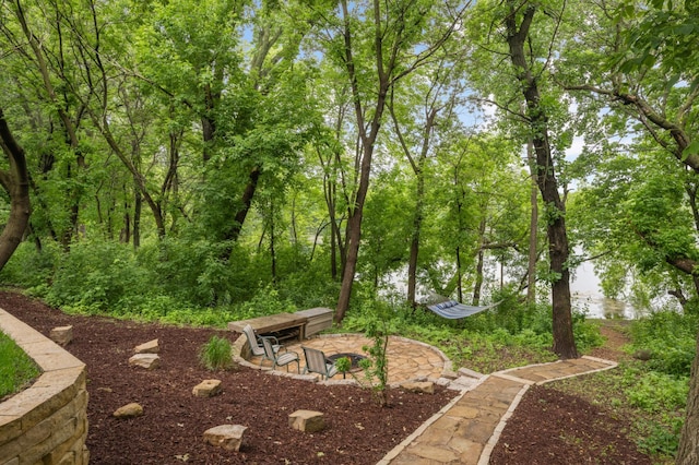 10787 Alison Way, Inver Grove Heights, MN 55077 - view of yard