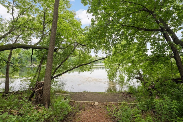 10787 Alison Way, Inver Grove Heights, MN 55077 - water view