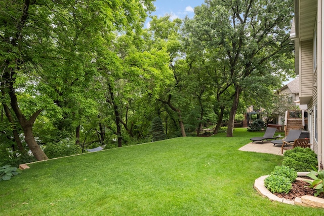 10787 Alison Way, Inver Grove Heights, MN 55077 - view of grassy yard with a patio area