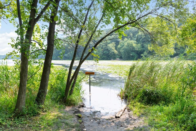 10787 Alison Way, Inver Grove Heights, MN 55077 - water view with a forest