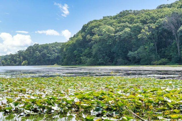 10787 Alison Way, Inver Grove Heights, MN 55077 - water view with a heavily wooded area