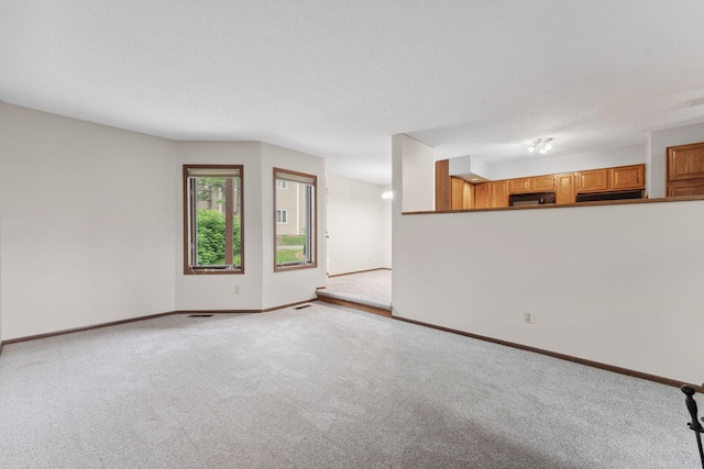 1369 Spencer Rd W, Saint Paul, MN 55108 - unfurnished living room with carpet flooring