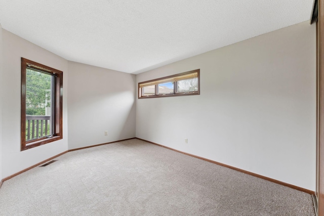 1369 Spencer Rd W, Saint Paul, MN 55108 - carpeted empty room with plenty of natural light