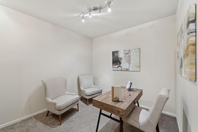 5900 Oxford St Unit 8, Saint Louis Park, MN 55416 - home office with carpet flooring and a textured ceiling