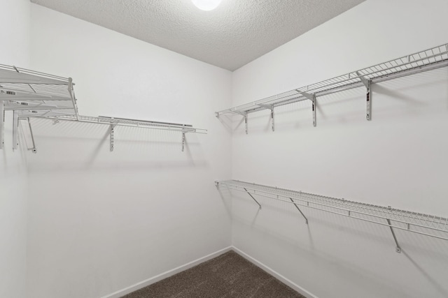 5900 Oxford St Unit 8, Saint Louis Park, MN 55416 - spacious closet with dark carpet