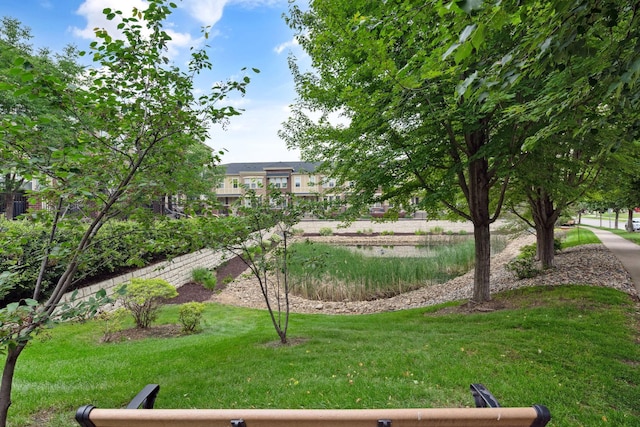 5900 Oxford St Unit 8, Saint Louis Park, MN 55416 - view of grassy yard