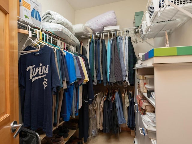 8292 Labont Way Unit 210, Eden Prairie, MN 55344 - view of walk in closet