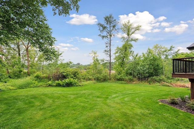 4428 Marlborough Ct, Minnetonka, MN 55345 - view of green lawn with a deck