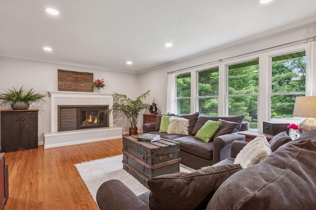 4428 Marlborough Ct, Minnetonka, MN 55345 - living room featuring crown molding, recessed lighting, wood finished floors, and a glass covered fireplace